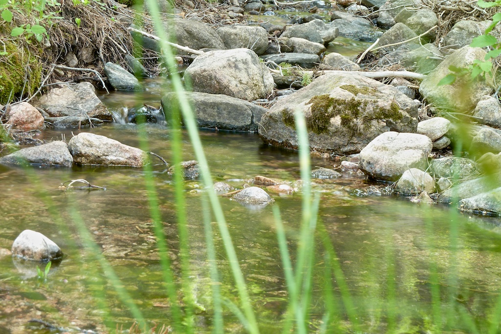 Creek