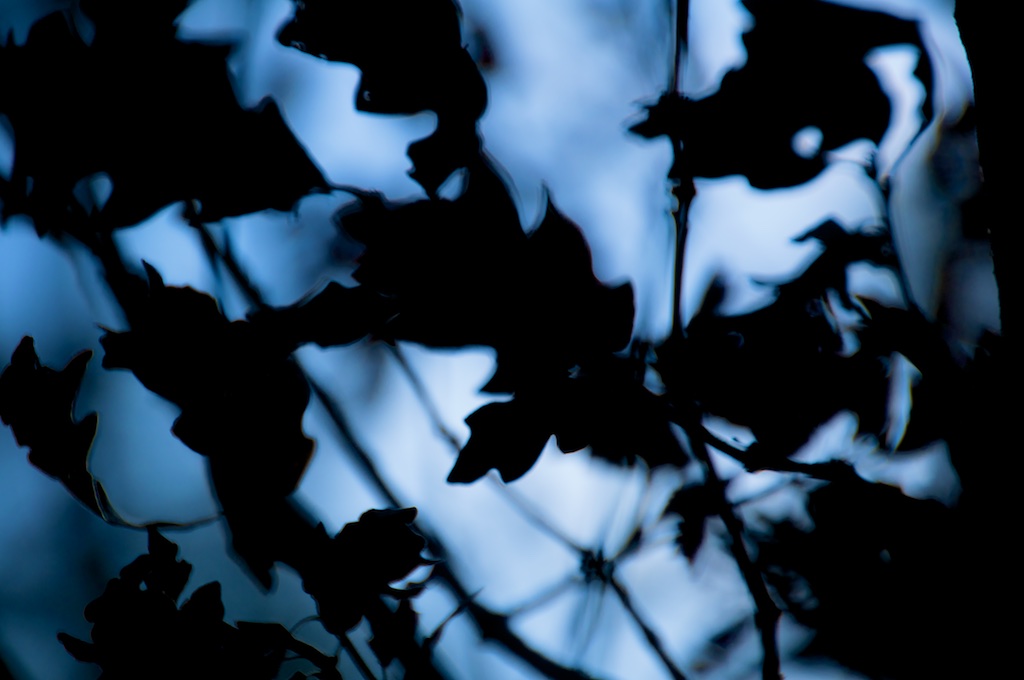 Darkness