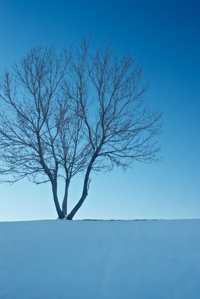Dormant