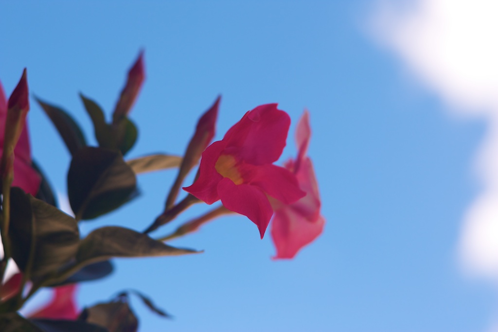 Reaching